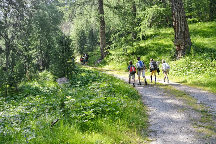 An image of children walking toward a cabin at a summer camp.