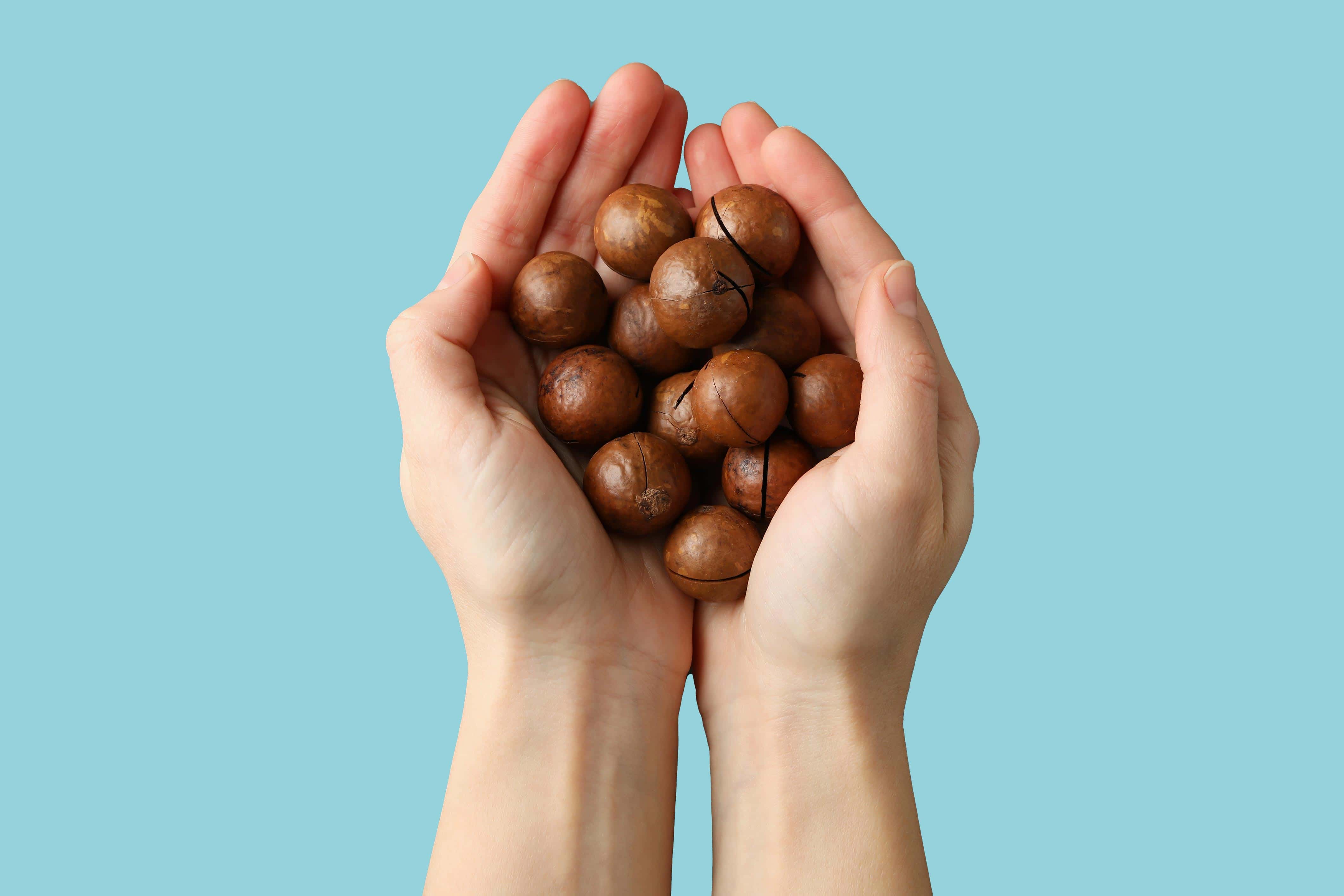 Hands holding macadamia nuts. Ethyl macadamiate is derived from macadamia nuts. Benefit: keeps your skin soft and hydrated.