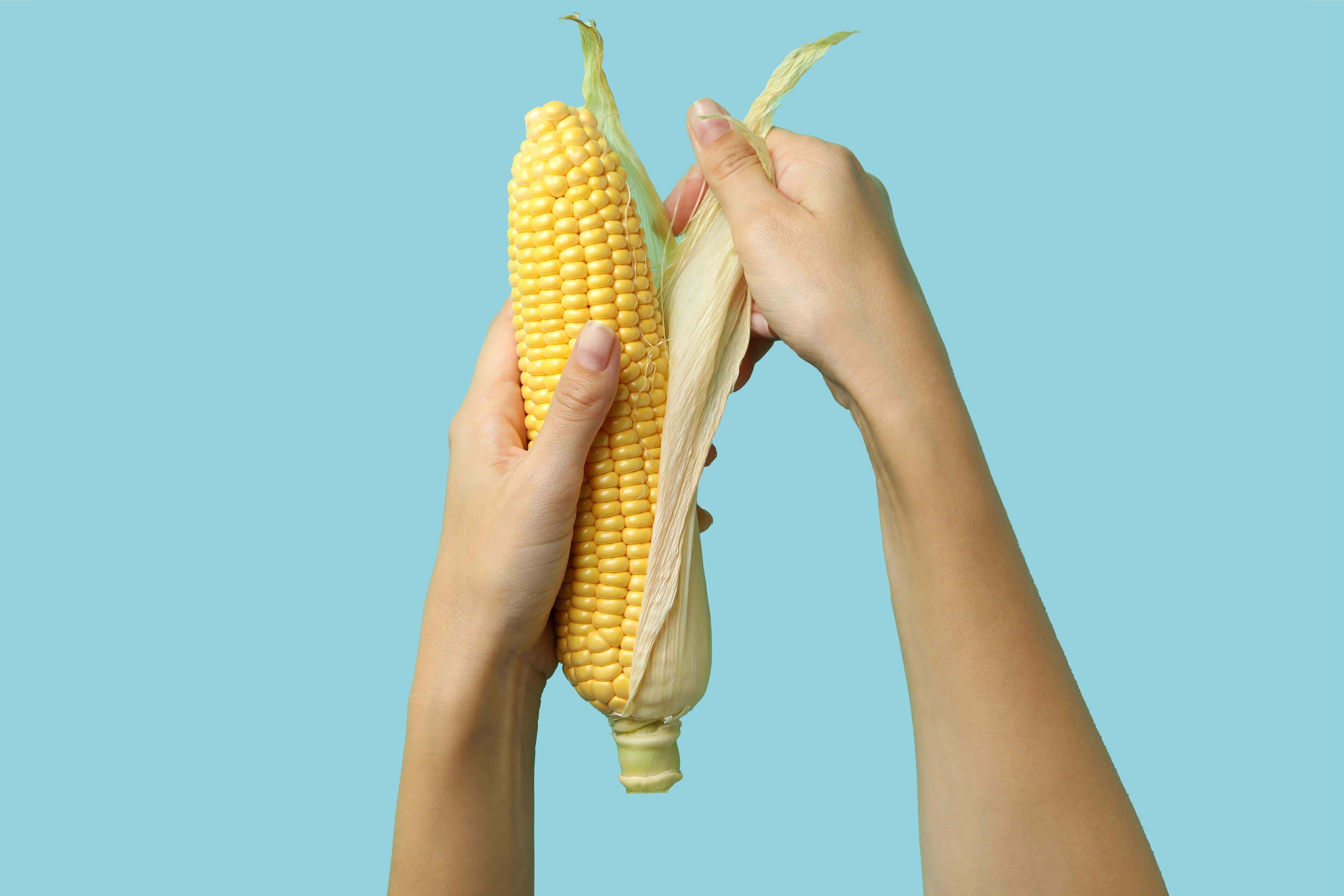 Hands holding husk of cor. Gluconolactone is derived from corn. A natural antioxidant and preservative. Benefit: protects your skin from sun damage.