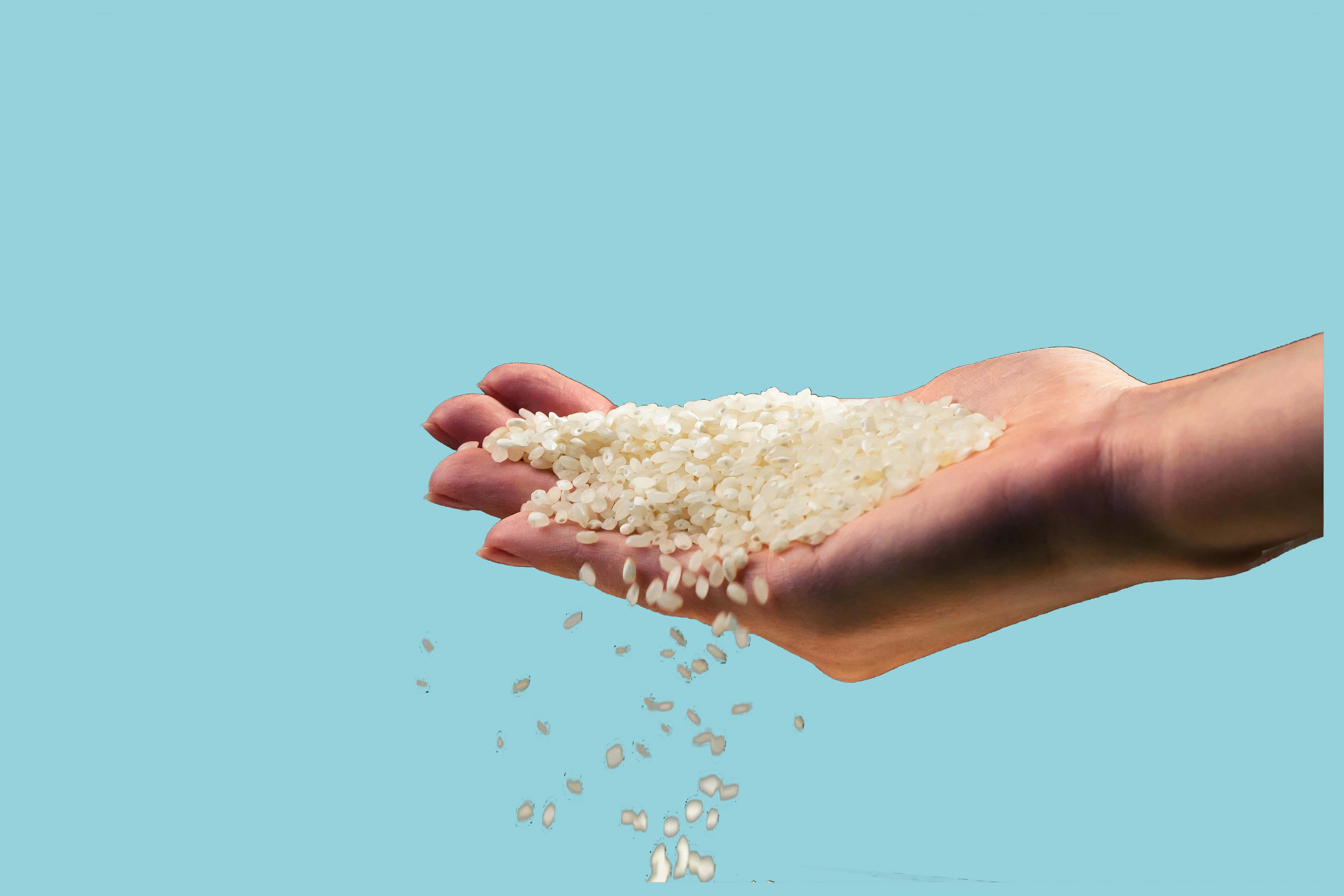 Hands holding rice grains. Derived from finely milled rice grains.Benefits: Absorbs oil, adds volume, and leaves hair soft and refreshed.