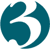 Local TV news station logo 3