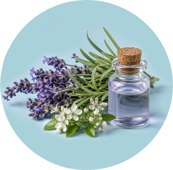 Lavender Oil icon