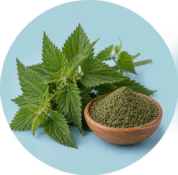 Nettle Leaf icon