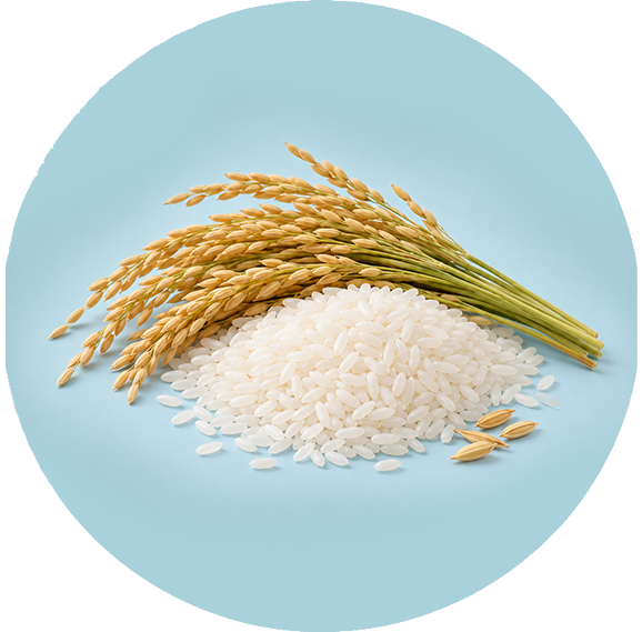 Rice Starch