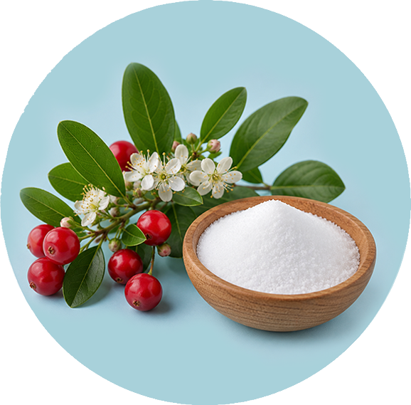 Sodium Benzoate icon
