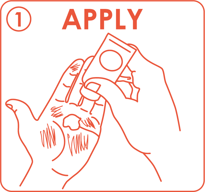 Step 1: Apply to dry, dirty hands