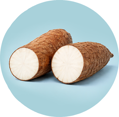 Tapioca Starch icon
