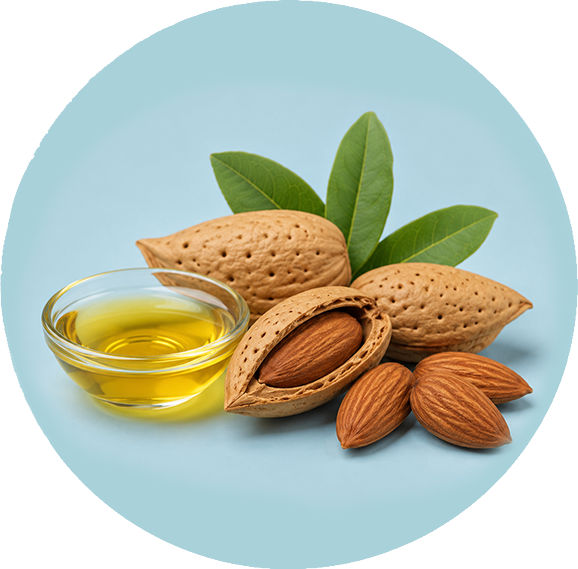 Tocopherol (Vitamin E) icon