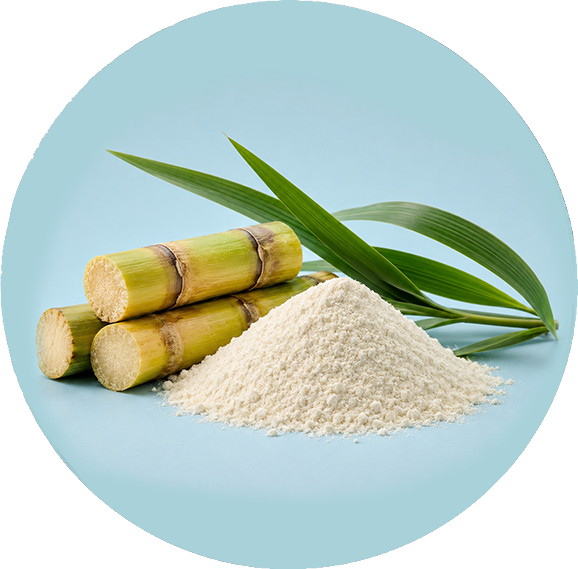 Xanthan Gum icon